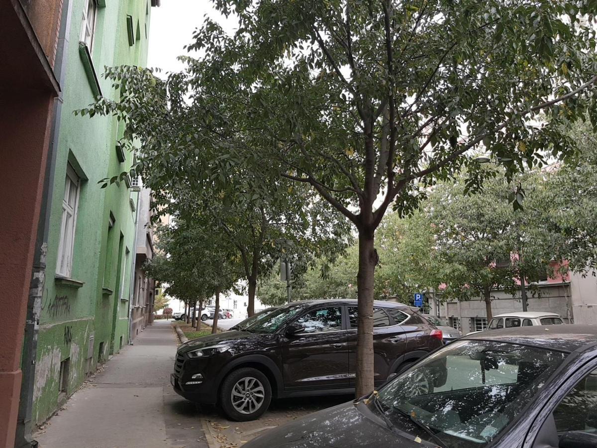 Mia Apartment Novi Sad Exteriér fotografie
